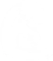 The Charter School Connection logo