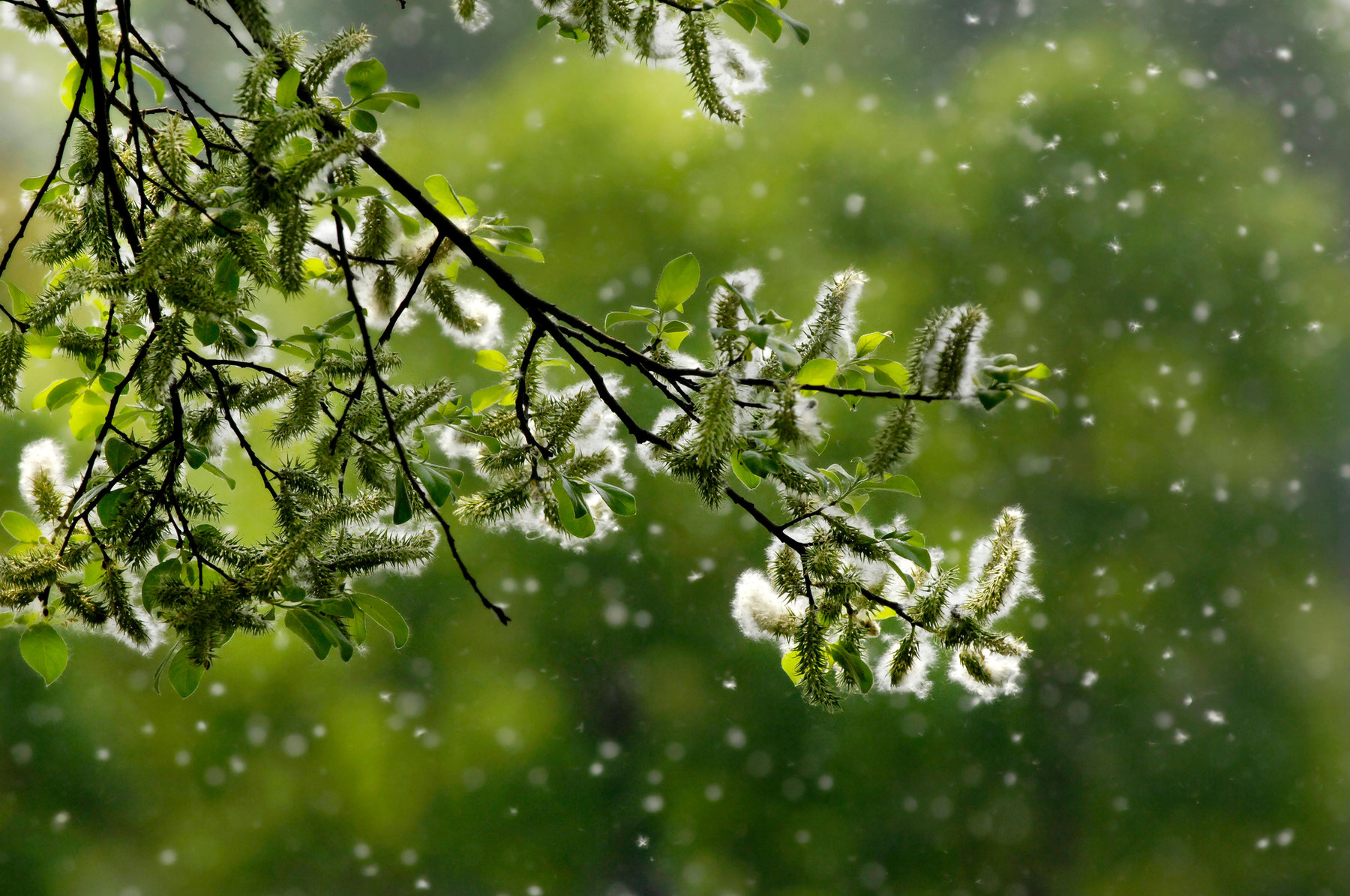 Fresh Starts: Why "Spring Cleaning" is a Pedagogical Power Move