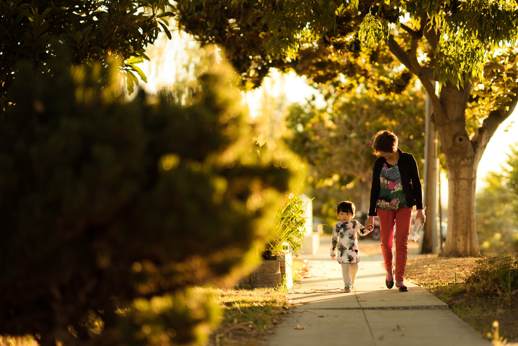 The Perfect Fit: What Parents Really Want in A School 